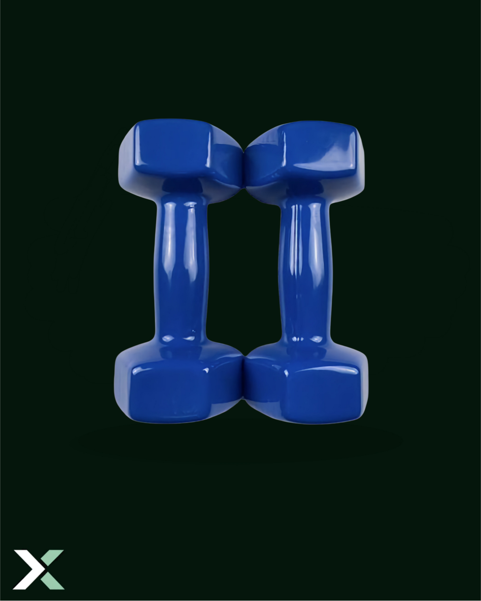 Easy-X At Home Dumbbells 4kg Pair